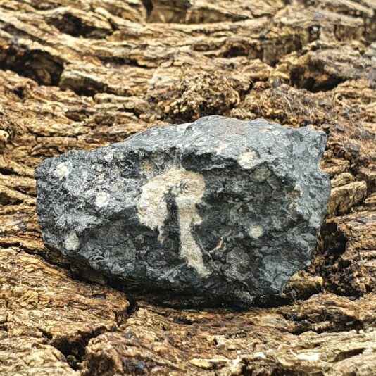 20200503_112523 smaller