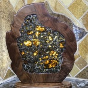 Profile photo of Dana Jenkerson